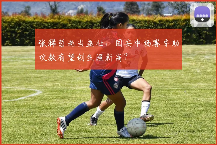 张稀哲老当益壮,国安中场赛季助攻数有望创生涯新高?